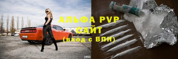 крисы Кулебаки