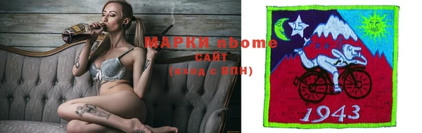 крисы Кулебаки