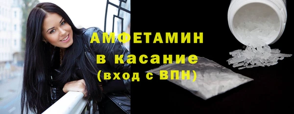 крисы Кулебаки