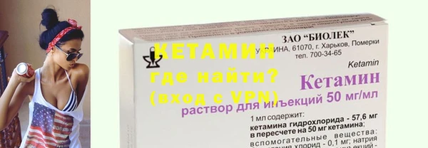 крисы Кулебаки