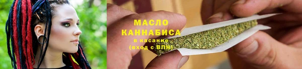 крисы Кулебаки