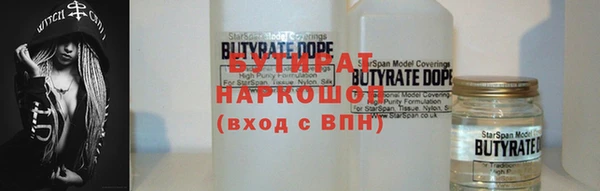 крисы Кулебаки