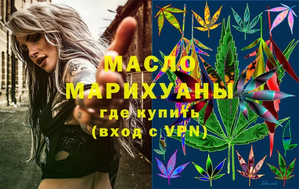 крисы Кулебаки