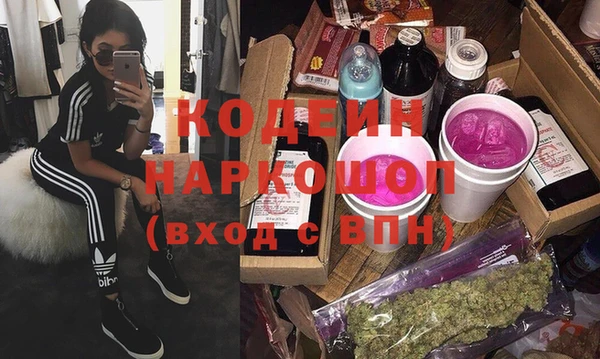 крисы Кулебаки