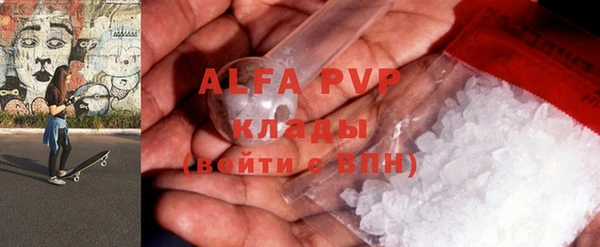 крисы Кулебаки