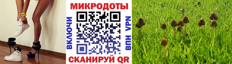 Псилоцибиновые грибы мухоморы  Купить закладки  Апшеронск 